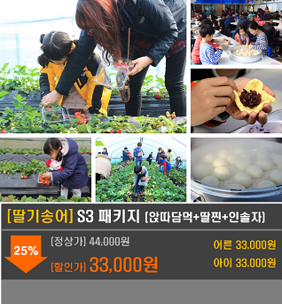 [딸기송어축제 C1 패키지] 앉따담먹+딸찐+인솔자